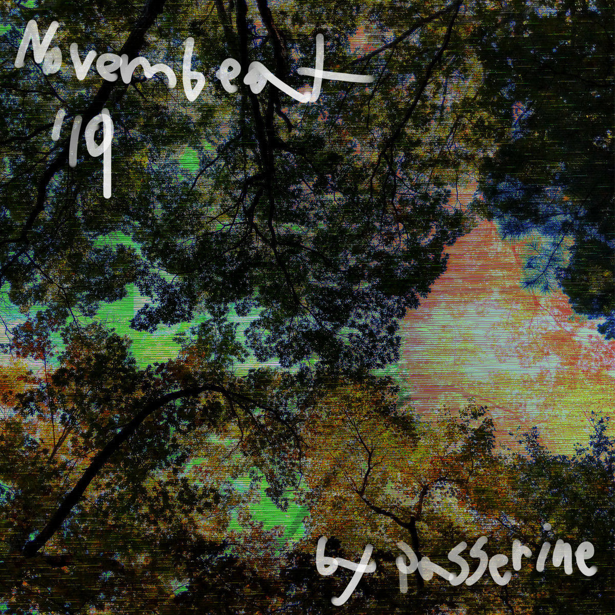 Glitch art with the camera pointing up at trees overhead. The text is drawn in white and says, "Novembeat '19 by passerine"